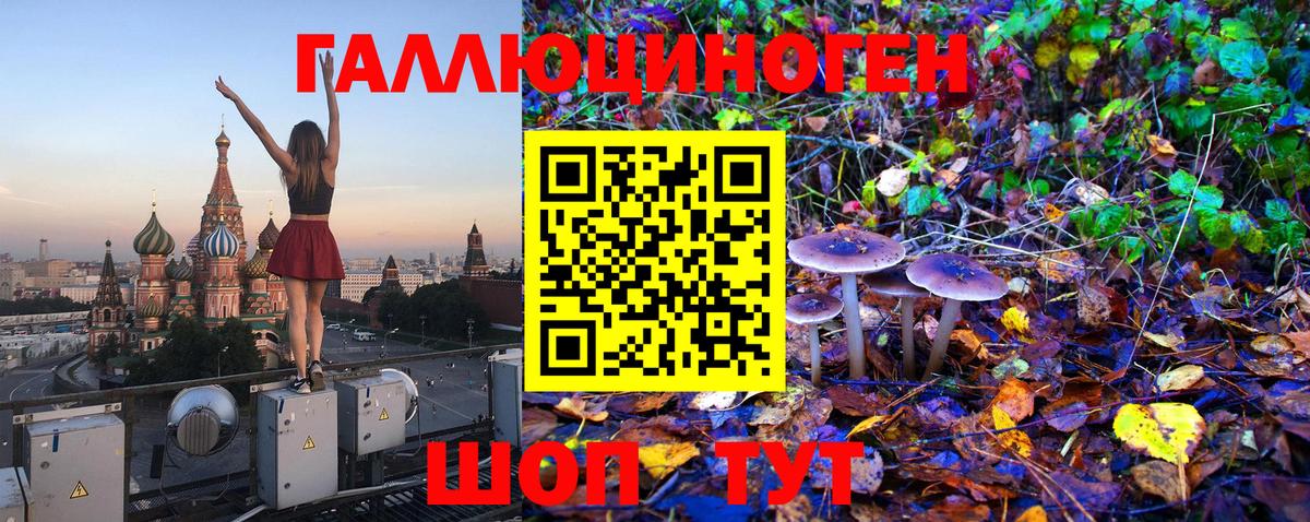 Фрязино  Псилоцибиновые грибы Magic Shrooms  Вход с VPN 