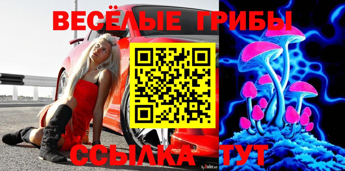 Псилоцибиновые грибы MAGIC MUSHROOMS Фрязино